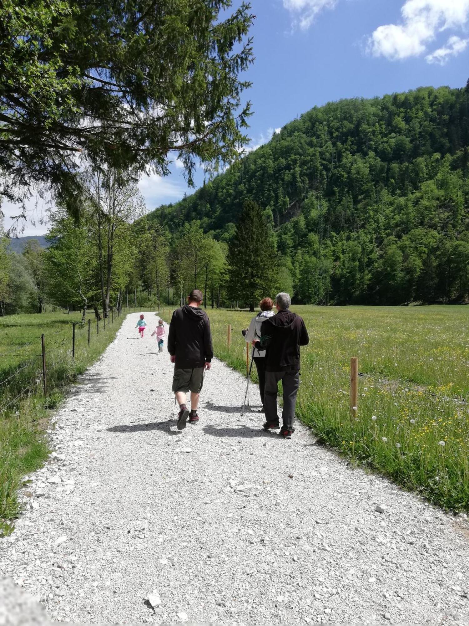 Apartma Vojvoda Bohinji-tó Kültér fotó